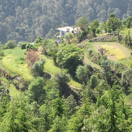 Shimla Nature Ville Kültér fotó