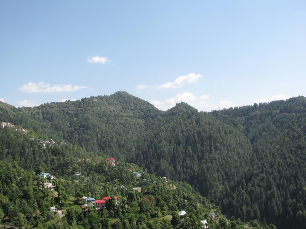 Shimla Nature Ville Kültér fotó