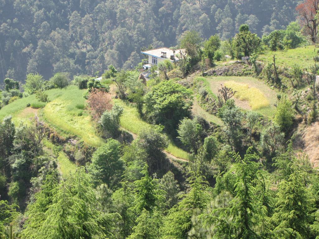 Shimla Nature Ville Kültér fotó